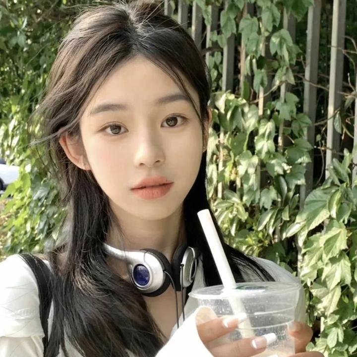 恐惧的总和 封面