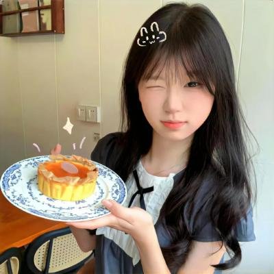 爱丽舍宫的女大厨 封面